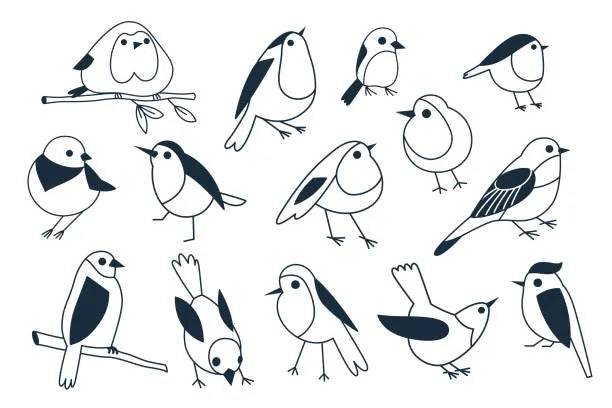 Set of vector linear birds for design Die Cut Vinyl Decal
