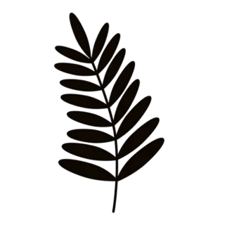 Simple Fern Leaf Transfer Sticker Die Cut Vinyl Decal