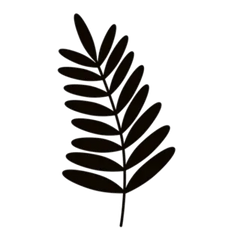 Simple Fern Leaf Transfer Sticker Die Cut Vinyl Decal