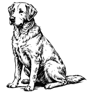 Sketch Of Lab Sitting Sticker Die Cut Vinyl Decal