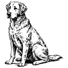Sketch Of Lab Sitting Sticker Die Cut Vinyl Decal