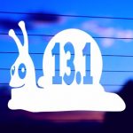Snail 13.1 Running vinyl die cut decal for cars trucks 