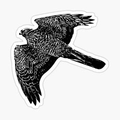 Eurasian Sparrowhawk Black Design  Die Cut Vinyl Decal