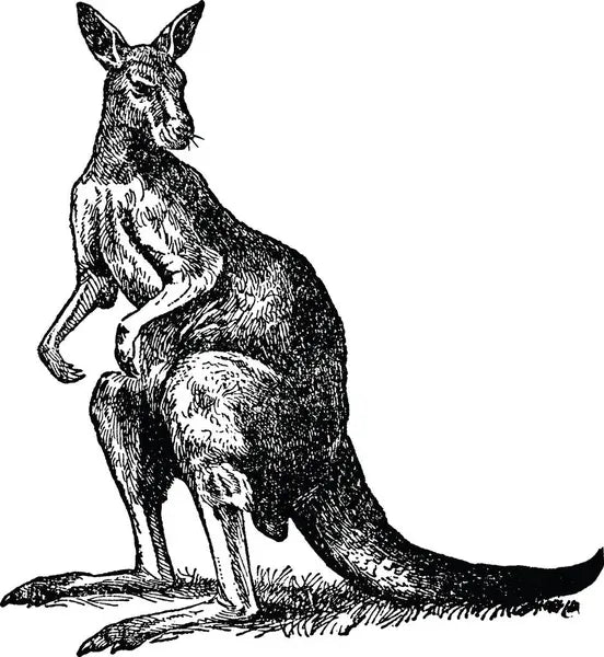 Vintage Kangaroo Die-Cut Vinyl Decal