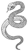 Tattoo Snake Traditional Black Dot Style Ink Sticker Die Cut Vinyl Decal