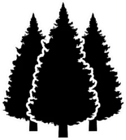 Three Conifer Pine Trees Black Sticker Die Cut Vinyl Decal