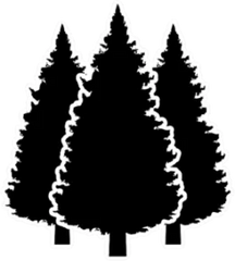 Three Conifer Pine Trees Black Sticker Die Cut Vinyl Decal