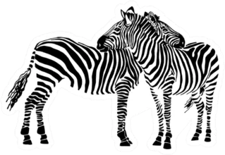 Two Zebras Standing Isolated On White Sticker Die Cut Vinyl Decal