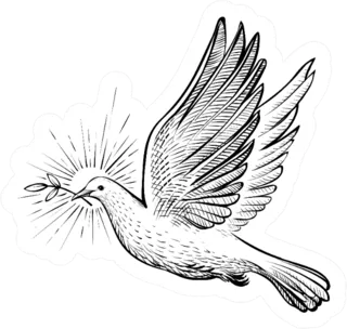 Dove With Olive Branch And Rays Line Sketch Sticker Die Cut Vinyl Decal