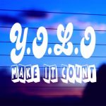 You Only Live Once Vinyl Decal